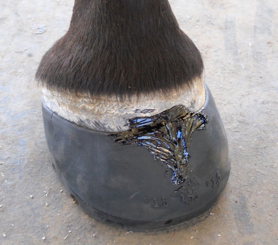 BarefootBoot