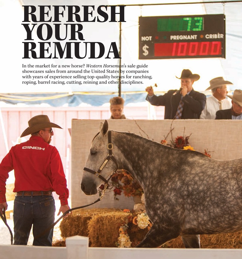 July2017-Horse-Sale-SAS-1