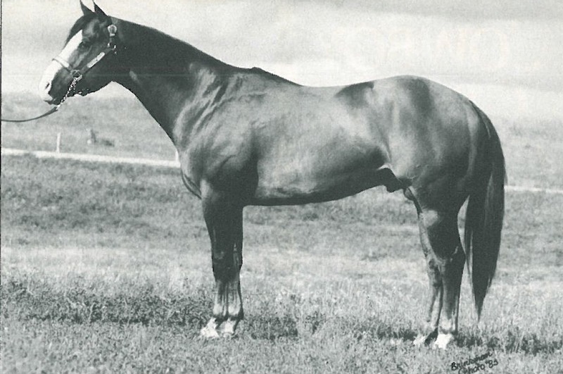 Mr Baron Red