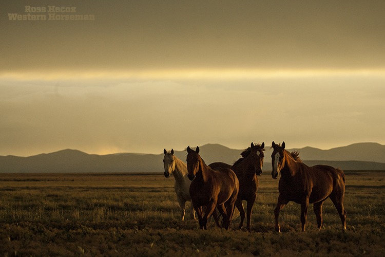To this day I have never seen light like this. I was on the CS Ranch in 2007
