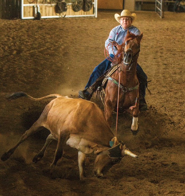 Steer Stopping