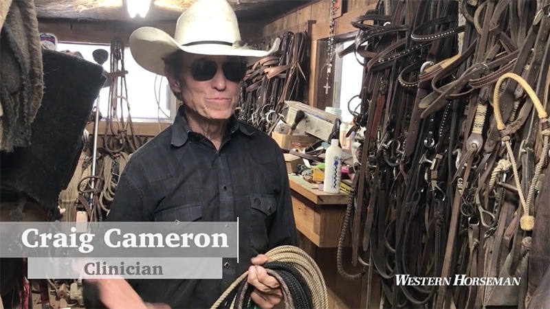 Craig Cameron flag, lead rope and halter