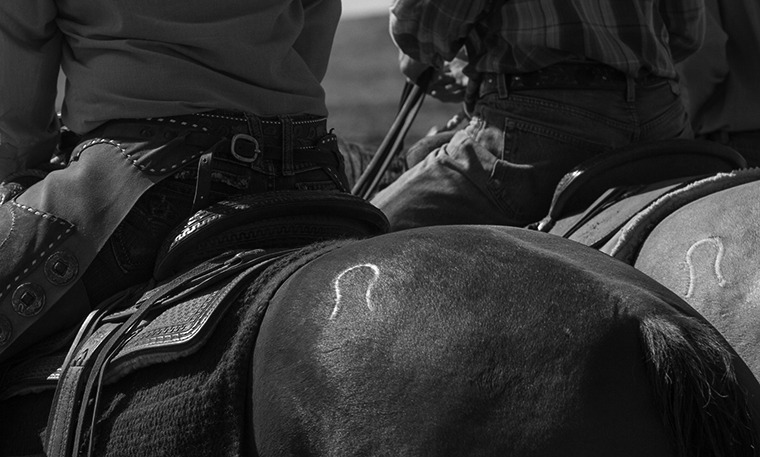 140904 muleshoe 266