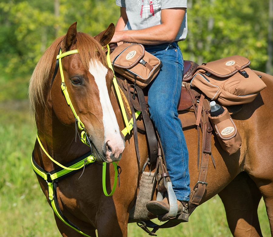 WLTrailGear1