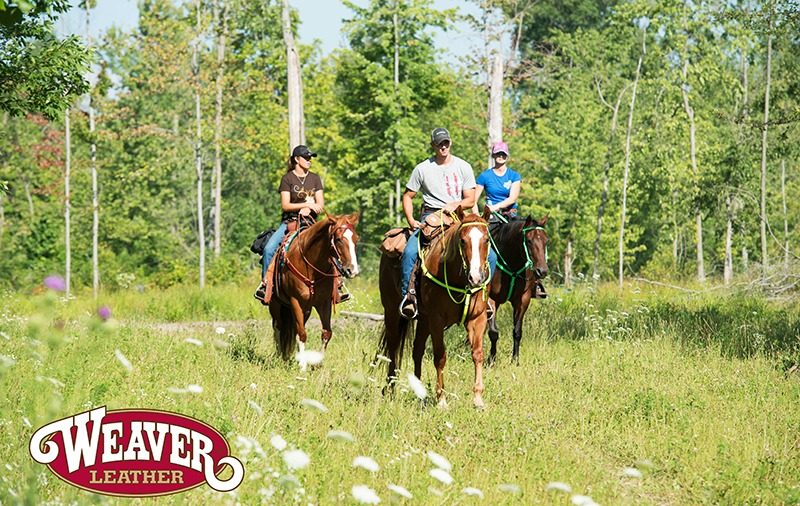 WeaverLeatherTrailHead