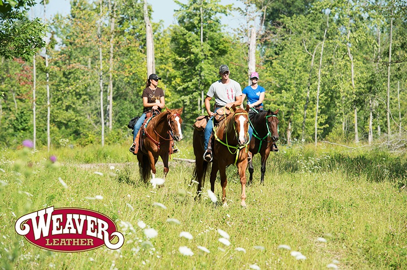 WeaverLeatherTrailHead
