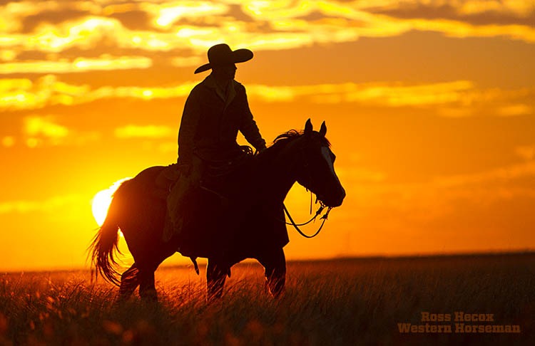 Toby Winters trots across a pasture at sundown on the Hitch Ranch in the Oklahoma Panhandle. He and the cowboy crew were moving yearling calves to a new pasture.
