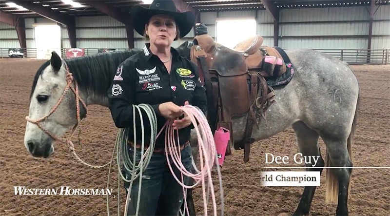 lari dee guy rope tools of the trade