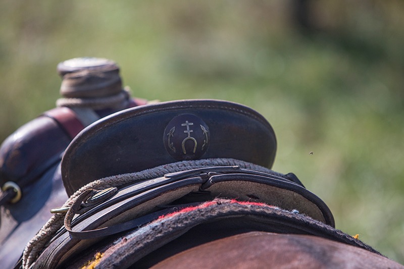 150925 Cross Spur Quarter Horses kf 915