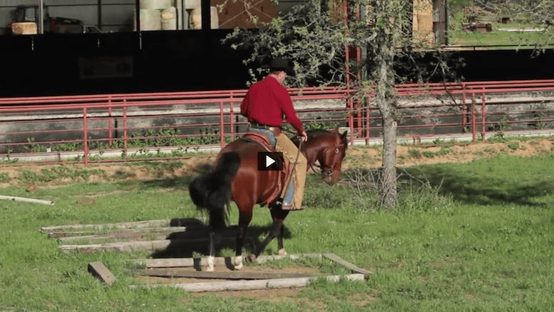 Mike Major demonstrating step up footwork on horseback