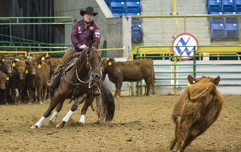 StockShowSeason