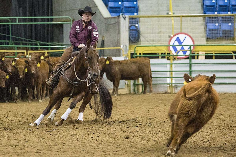StockShowSeason