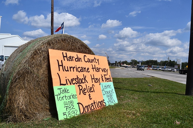 harvey-for-web