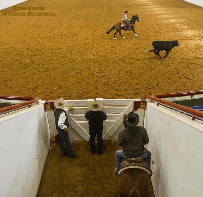 fwssr 007