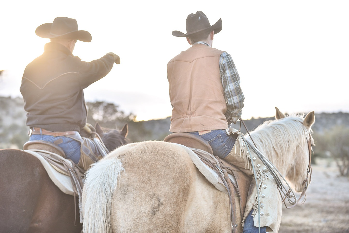 5StarCowboys
