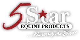5StarLogo
