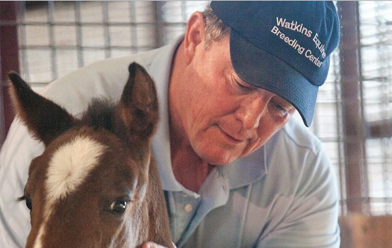 DanWatkinsfoal