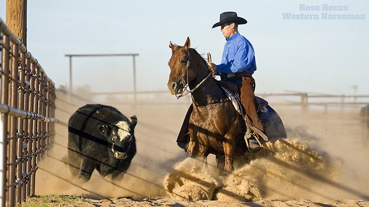 Chris Littlefield turns a cow down the fence at his training facility near Henrietta, Oklahoma.