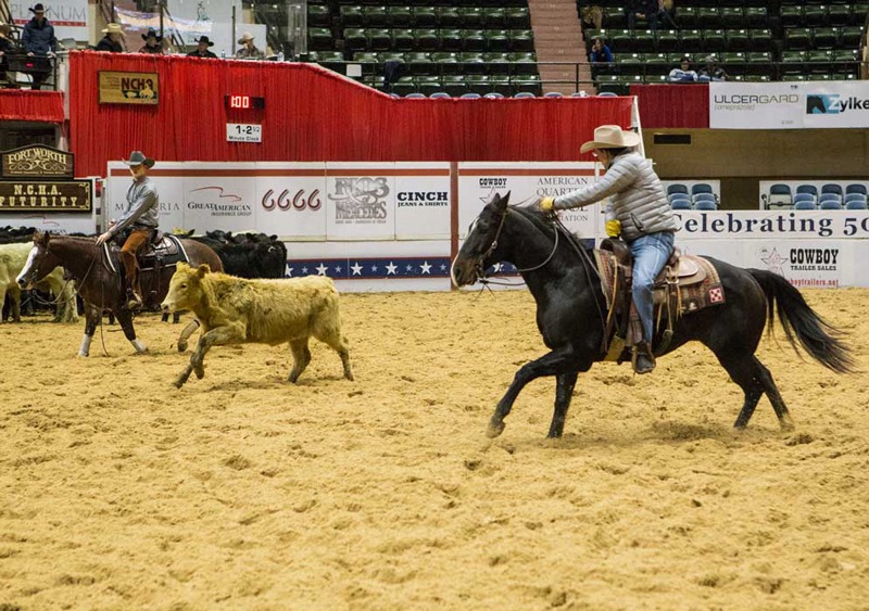 171206 NCHA Futurity Unlimited Am kf 045