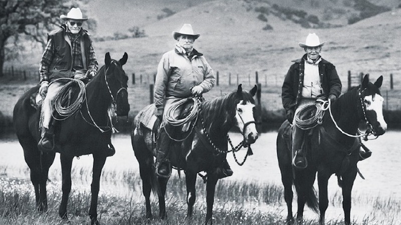 Bill Dorrance, Ray Hunt and Tom Dorrance