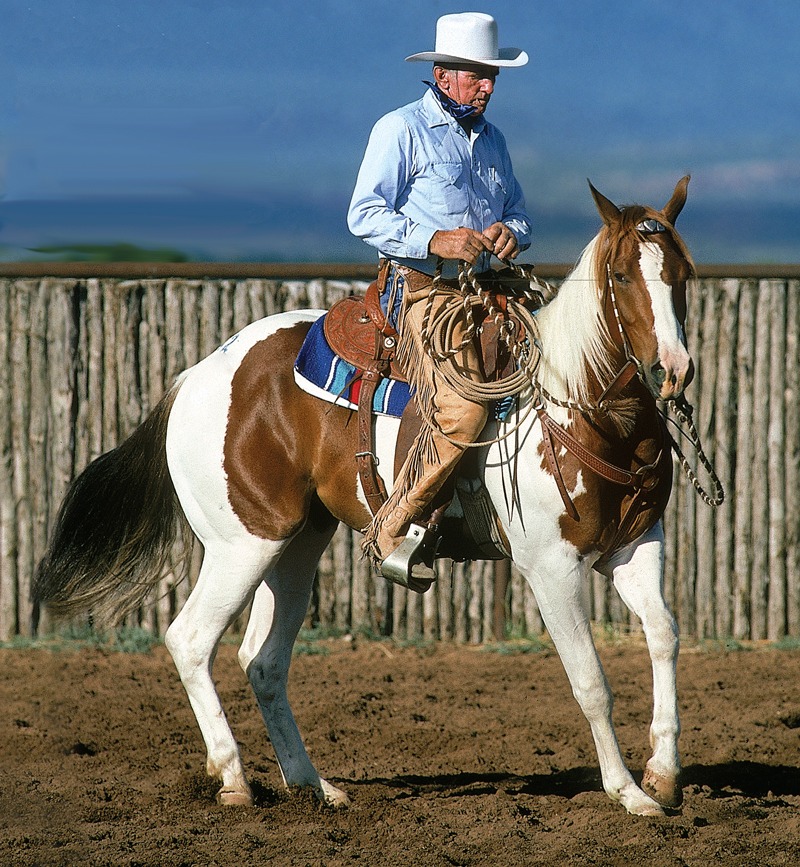 Ray Hunt on paint horse
