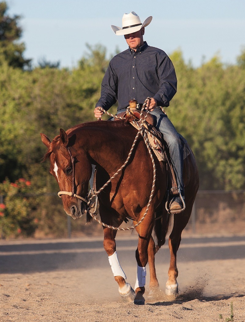 Horse Counter Arcing