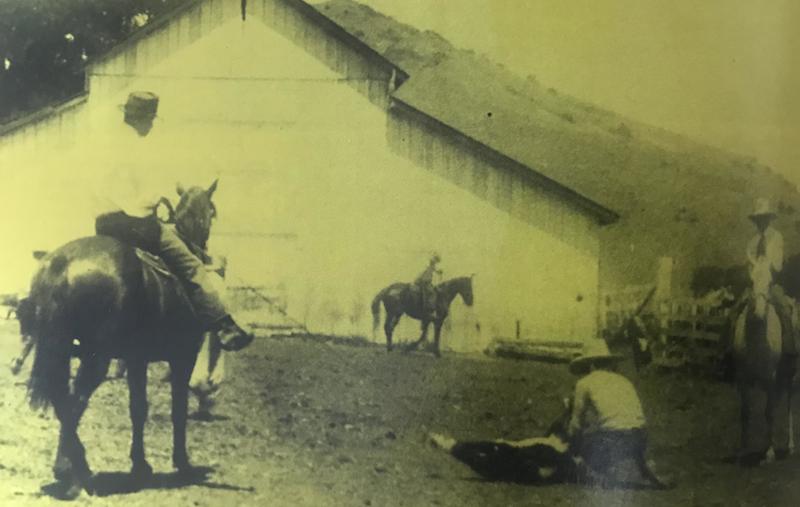 WillRogers