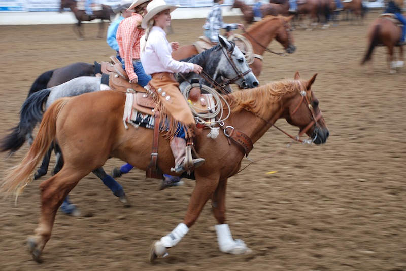 Saddle Pals