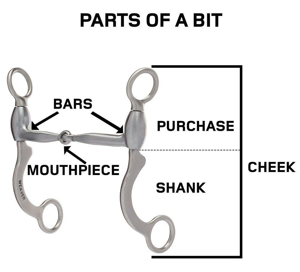 WL PartsoftheBit