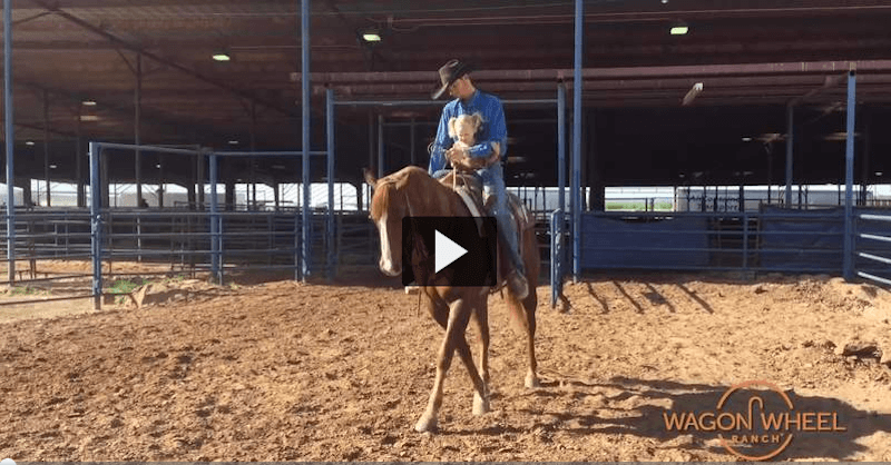 Wagon Wheel Recap video