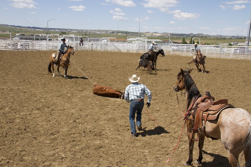 WyoWildRide-1108