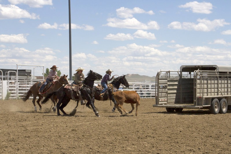 WyoWildRide-2393