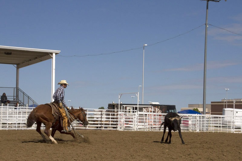 WyoWildRide-554