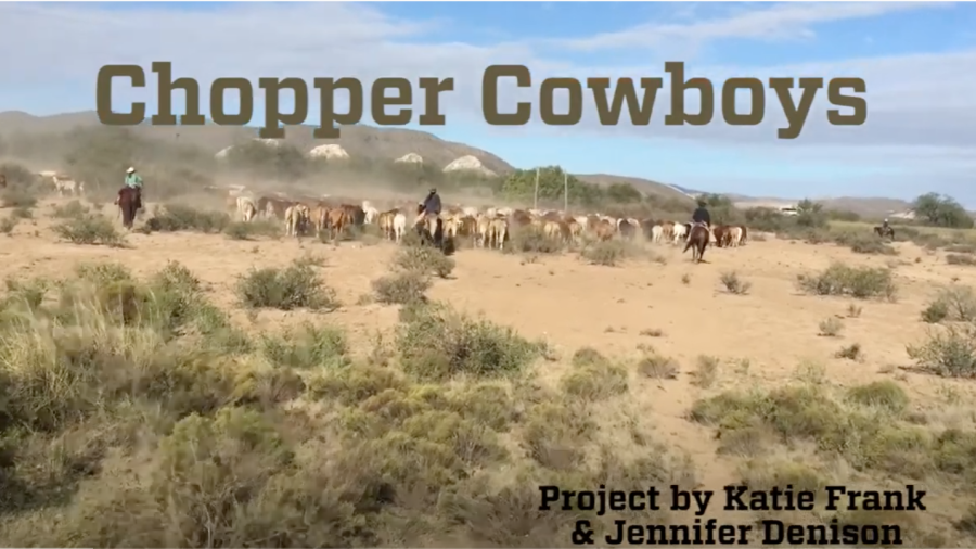 chopper cowboys