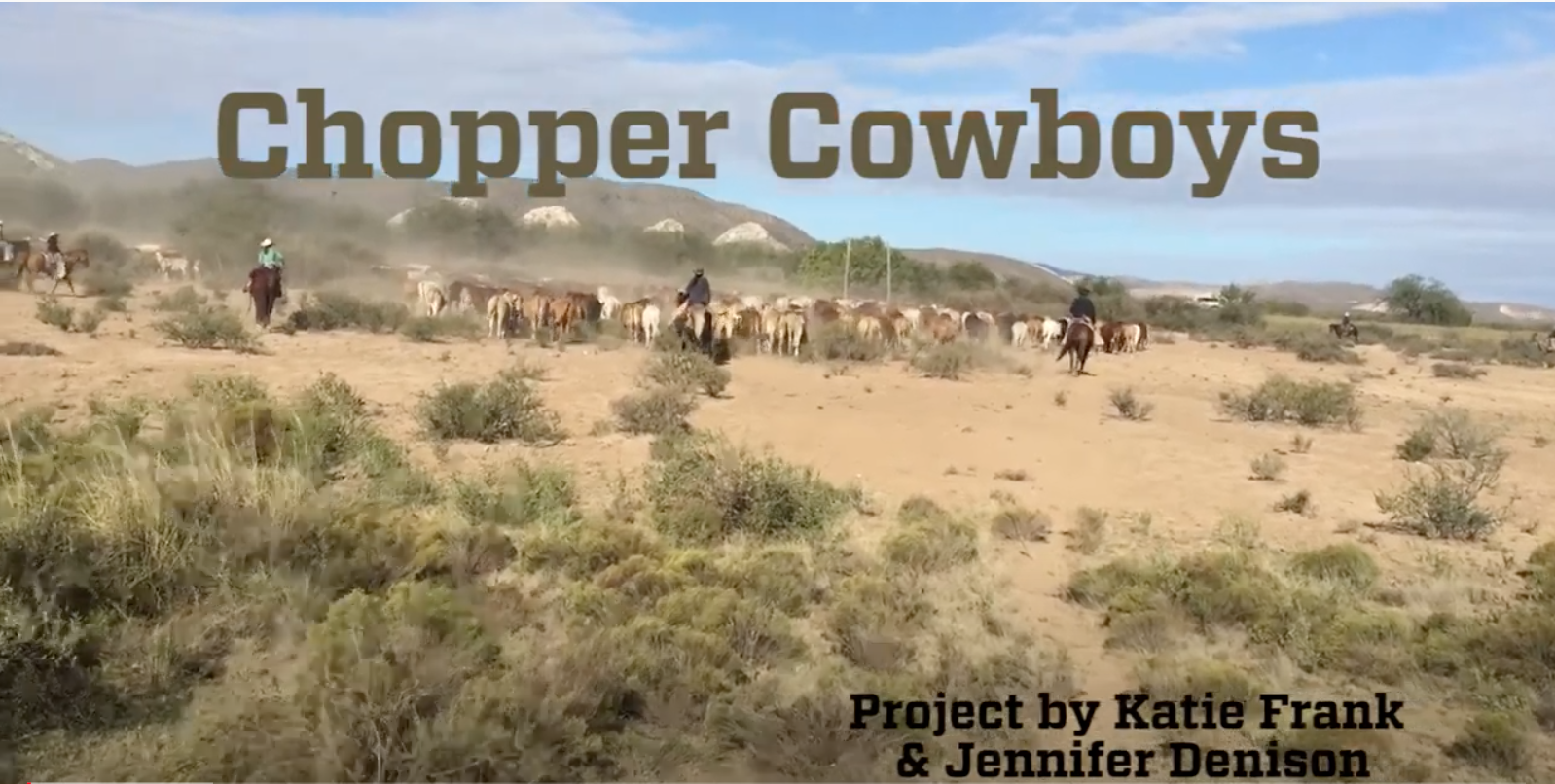 chopper cowboys