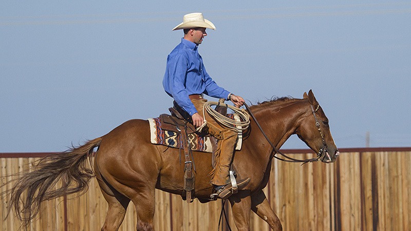 Ben Baldus riding horse while practicing for ranch versatility