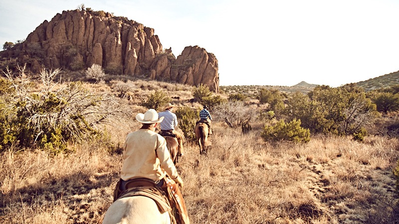 Cowboys on the trail