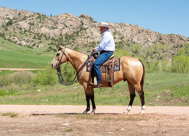 weaver leather tack