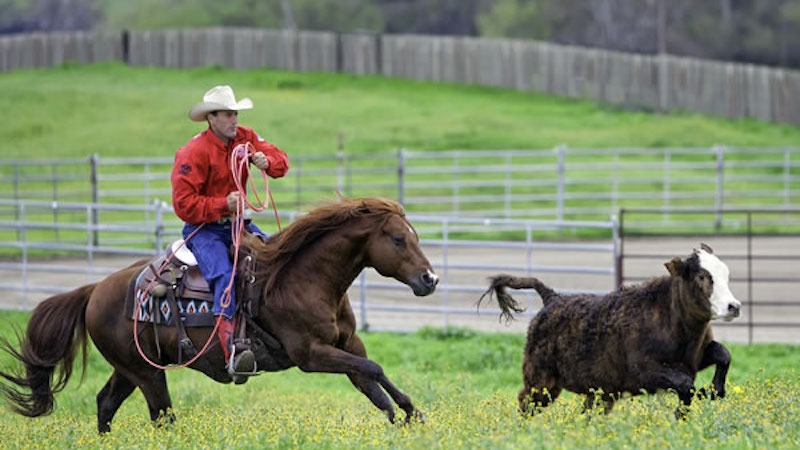 Russell Dilday Horseback