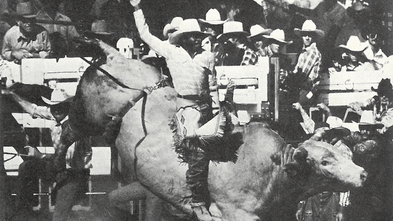 Charles Sampson rides bulll