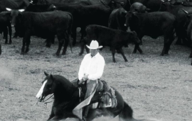 Little Peppy cutting a cow