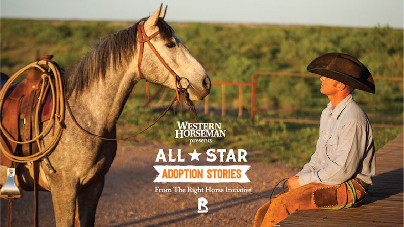 horse adoption stories graphic