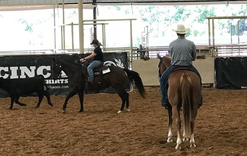 Stock Horse of Texas novice clinic at NRS