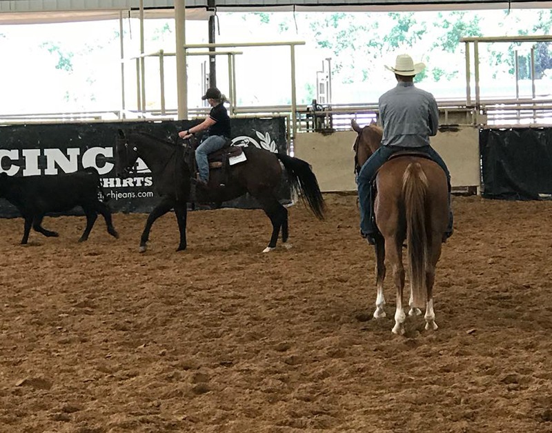 Stock Horse of Texas novice clinic at NRS