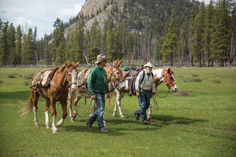 backcountry rangers Montana Bob Marshall Wilderness