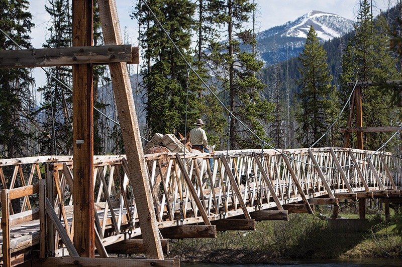 bridge Bob Marshall Wilderness Montana 