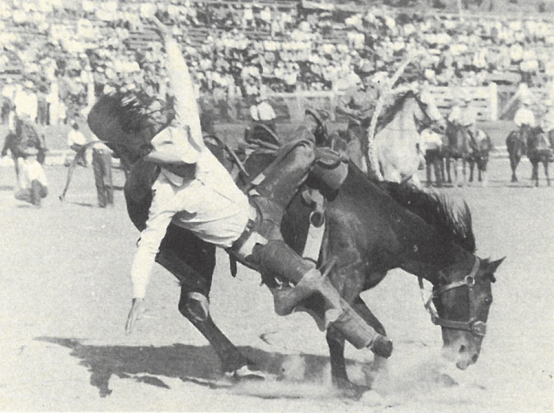 Don Dewar getting bucked off a saddle bronc horse at Pendleton