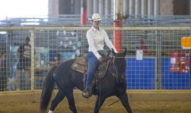 Bluebonnet Equine Humane Society, Right Horse Initiative