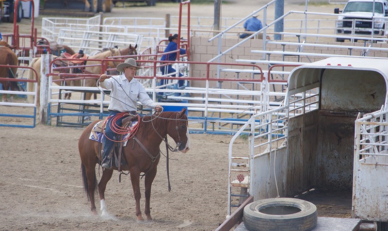 A consigned ranch horse drags a tire on the of a rope into the trailer at the Legacy Ranch Horse Sale.