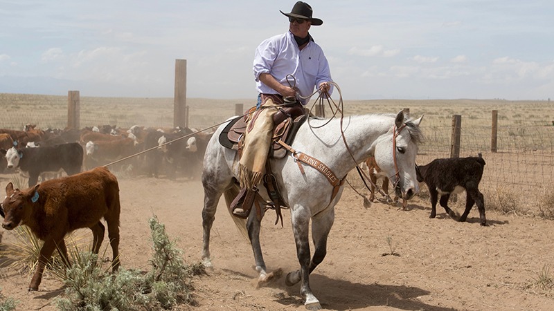 Bobby Norris at Tee Cross Ranches spring branding.